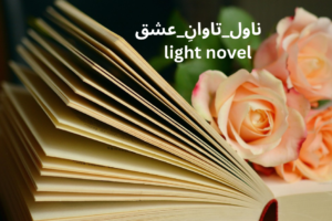 light novel