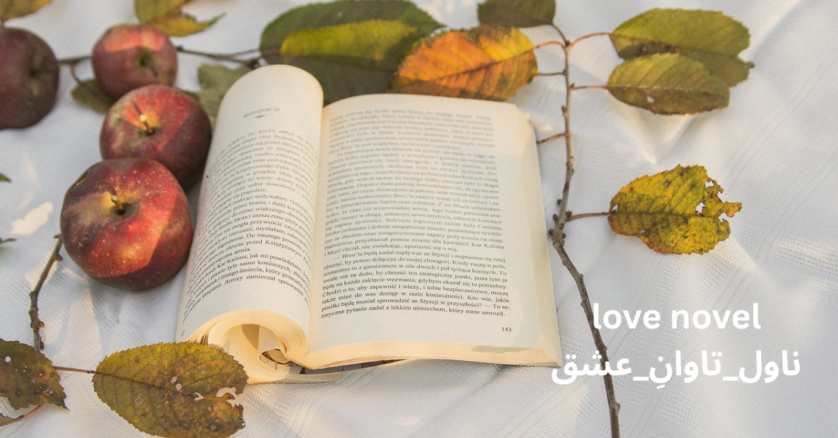 love novel